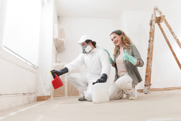 Best Real Estate Mold Inspection  in Mullins, SC